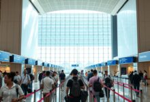 singapore arrival travel steps