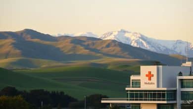 New Zealand nursing visa sponsorship