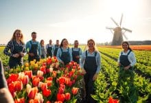 Visa Sponsorship in Netherland